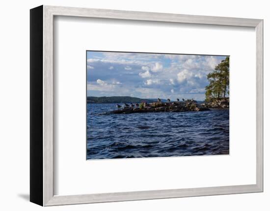 Lonesome landscape on Stora Le Lake, Sweden-Andrea Lang-Framed Photographic Print