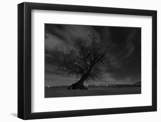 Lonesome Tree at a Lake-Jurgen Ulmer-Framed Photographic Print