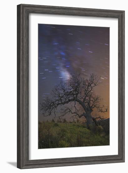 Lonesome Tree-Matias Jason-Framed Photographic Print