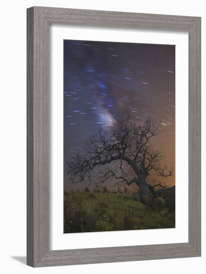 Lonesome Tree-Matias Jason-Framed Photographic Print