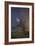 Lonesome Tree-Matias Jason-Framed Photographic Print