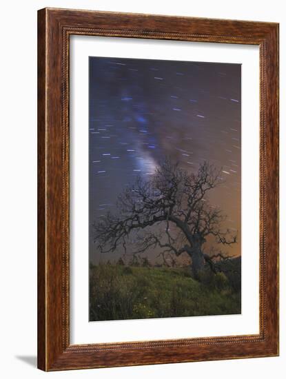 Lonesome Tree-Matias Jason-Framed Photographic Print