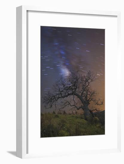 Lonesome Tree-Matias Jason-Framed Photographic Print