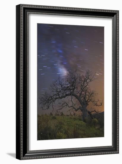 Lonesome Tree-Matias Jason-Framed Photographic Print