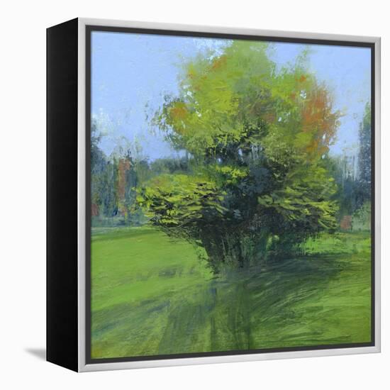 Long Afternoon-Lou Wall-Framed Premier Image Canvas