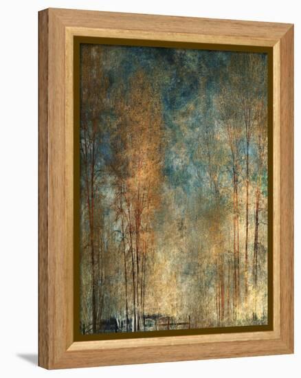 Long Ago-Lydia Marano-Framed Premier Image Canvas