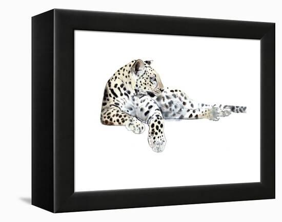 Long (Arabian Leopard), 2015-Mark Adlington-Framed Premier Image Canvas