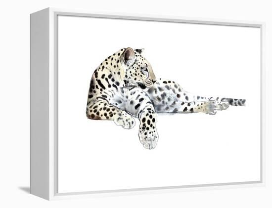 Long (Arabian Leopard), 2015-Mark Adlington-Framed Premier Image Canvas