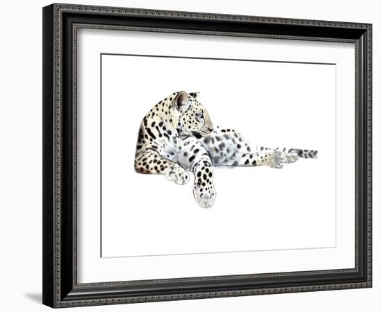 Long (Arabian Leopard), 2015-Mark Adlington-Framed Giclee Print