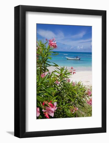 Long Bay and Beach, Antigua, Leeward Islands, West Indies, Caribbean, Central America-Frank Fell-Framed Photographic Print