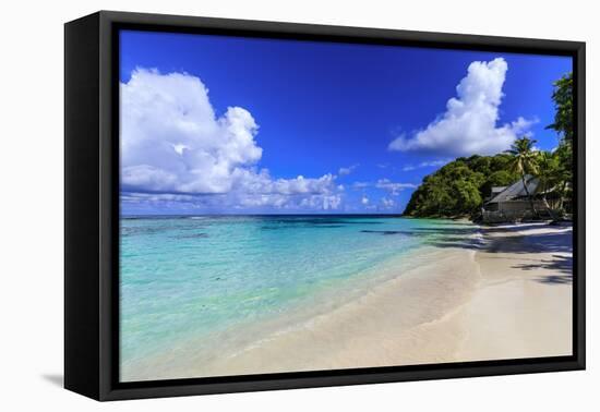 Long Bay Beach, beautiful soft white sand, turquoise sea, palm trees, Antigua-Eleanor Scriven-Framed Premier Image Canvas