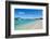 Long bay beach, Beef island, Tortola, British Virgin Islands, West Indies, Caribbean, Central Ameri-Michael Runkel-Framed Photographic Print