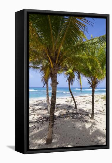 Long Bay, East Coast, Portland Parish, Jamaica, West Indies, Caribbean, Central America-Doug Pearson-Framed Premier Image Canvas