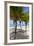 Long Bay, East Coast, Portland Parish, Jamaica, West Indies, Caribbean, Central America-Doug Pearson-Framed Photographic Print