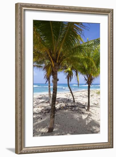 Long Bay, East Coast, Portland Parish, Jamaica, West Indies, Caribbean, Central America-Doug Pearson-Framed Photographic Print