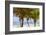 Long Bay, East Coast, Portland Parish, Jamaica, West Indies, Caribbean, Central America-Doug Pearson-Framed Photographic Print