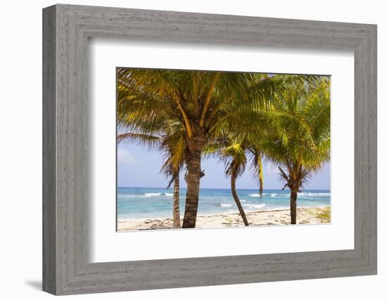 Long Bay, East Coast, Portland Parish, Jamaica, West Indies, Caribbean, Central America-Doug Pearson-Framed Photographic Print