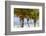 Long Bay, East Coast, Portland Parish, Jamaica, West Indies, Caribbean, Central America-Doug Pearson-Framed Photographic Print