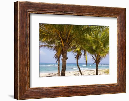 Long Bay, East Coast, Portland Parish, Jamaica, West Indies, Caribbean, Central America-Doug Pearson-Framed Photographic Print