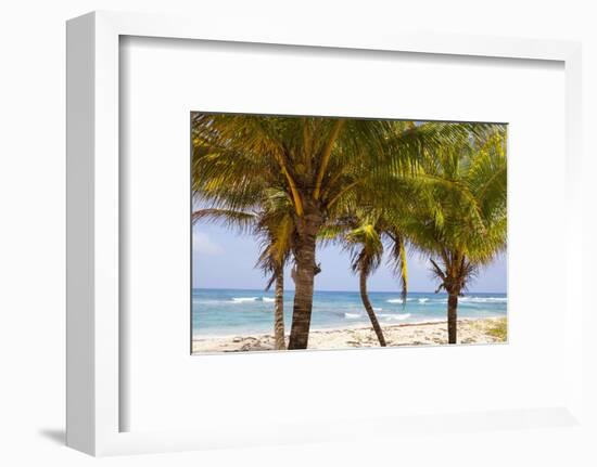 Long Bay, East Coast, Portland Parish, Jamaica, West Indies, Caribbean, Central America-Doug Pearson-Framed Photographic Print