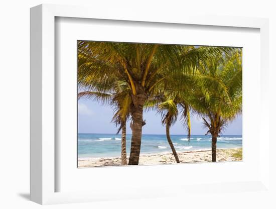 Long Bay, East Coast, Portland Parish, Jamaica, West Indies, Caribbean, Central America-Doug Pearson-Framed Photographic Print