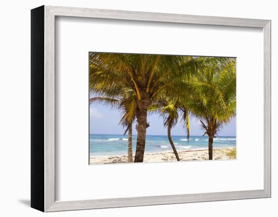 Long Bay, East Coast, Portland Parish, Jamaica, West Indies, Caribbean, Central America-Doug Pearson-Framed Photographic Print