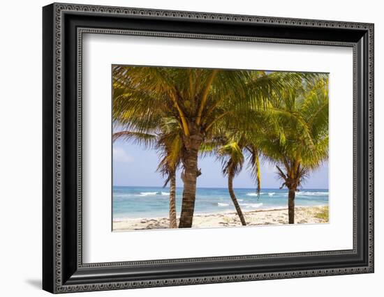 Long Bay, East Coast, Portland Parish, Jamaica, West Indies, Caribbean, Central America-Doug Pearson-Framed Photographic Print