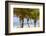 Long Bay, East Coast, Portland Parish, Jamaica, West Indies, Caribbean, Central America-Doug Pearson-Framed Photographic Print