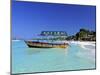 Long Bay, Negril, Jamaica-Doug Pearson-Mounted Photographic Print