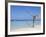 Long Bay, Negril, Westmoreland Parish, Jamaica, Caribbean-Doug Pearson-Framed Photographic Print