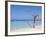 Long Bay, Negril, Westmoreland Parish, Jamaica, Caribbean-Doug Pearson-Framed Photographic Print