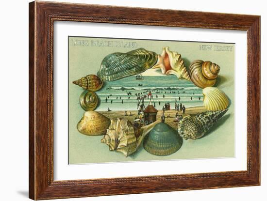 Long Beach Island, New Jersey - a Scenic View Bordered with Sea Shells-Lantern Press-Framed Art Print