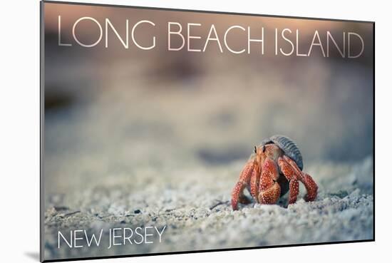 Long Beach Island, New Jersey - Hermit Crab on Beach-Lantern Press-Mounted Art Print