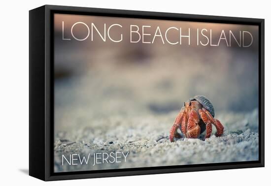 Long Beach Island, New Jersey - Hermit Crab on Beach-Lantern Press-Framed Stretched Canvas