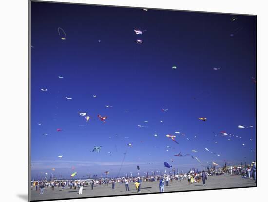 Long Beach Kite Festival, Long Beach, Washington, USA-Jamie & Judy Wild-Mounted Photographic Print