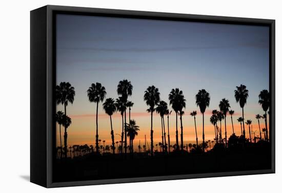 Long Beach Palm Trees-John Gusky-Framed Premier Image Canvas