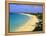 Long Beach, St. Martin, Netherlands Antilles, Caribbean-Michael DeFreitas-Framed Premier Image Canvas