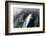 Long-beaked common dolphin, Sea of Cortez, Mexico-Claudio Contreras-Framed Photographic Print