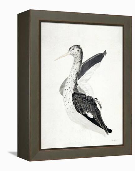 Long Billed Bird-Stellar Design Studio-Framed Stretched Canvas