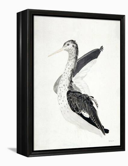 Long Billed Bird-Stellar Design Studio-Framed Stretched Canvas