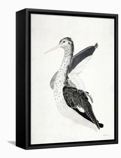 Long Billed Bird-Stellar Design Studio-Framed Stretched Canvas