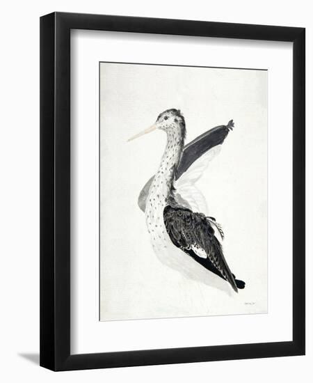 Long Billed Bird-Stellar Design Studio-Framed Art Print