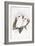 Long-Billed Cockatoo-John Gould-Framed Giclee Print