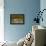 Long-Billed Curlew Landing-Hal Beral-Framed Premier Image Canvas displayed on a wall