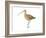 Long-Billed Curlew (Numenius Americanus), Birds-Encyclopaedia Britannica-Framed Art Print