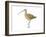 Long-Billed Curlew (Numenius Americanus), Birds-Encyclopaedia Britannica-Framed Art Print