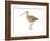 Long-Billed Curlew (Numenius Americanus), Birds-Encyclopaedia Britannica-Framed Art Print