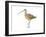 Long-Billed Curlew (Numenius Americanus), Birds-Encyclopaedia Britannica-Framed Art Print