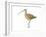 Long-Billed Curlew (Numenius Americanus), Birds-Encyclopaedia Britannica-Framed Art Print