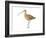 Long-Billed Curlew (Numenius Americanus), Birds-Encyclopaedia Britannica-Framed Art Print